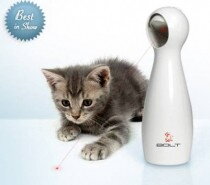 FroliCat™ BOLT™