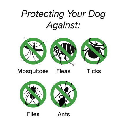 Scruffs® Insect Shield deka