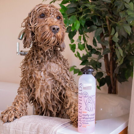 Greenfields šampon pro psy s kudrnatou srstí curly coat 250ml