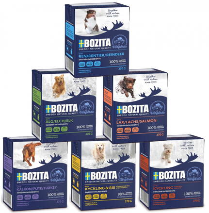 Výhodný mix Bozita TR pes 370g